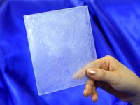 ナンシードイメージ