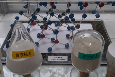 47回セミナー写真